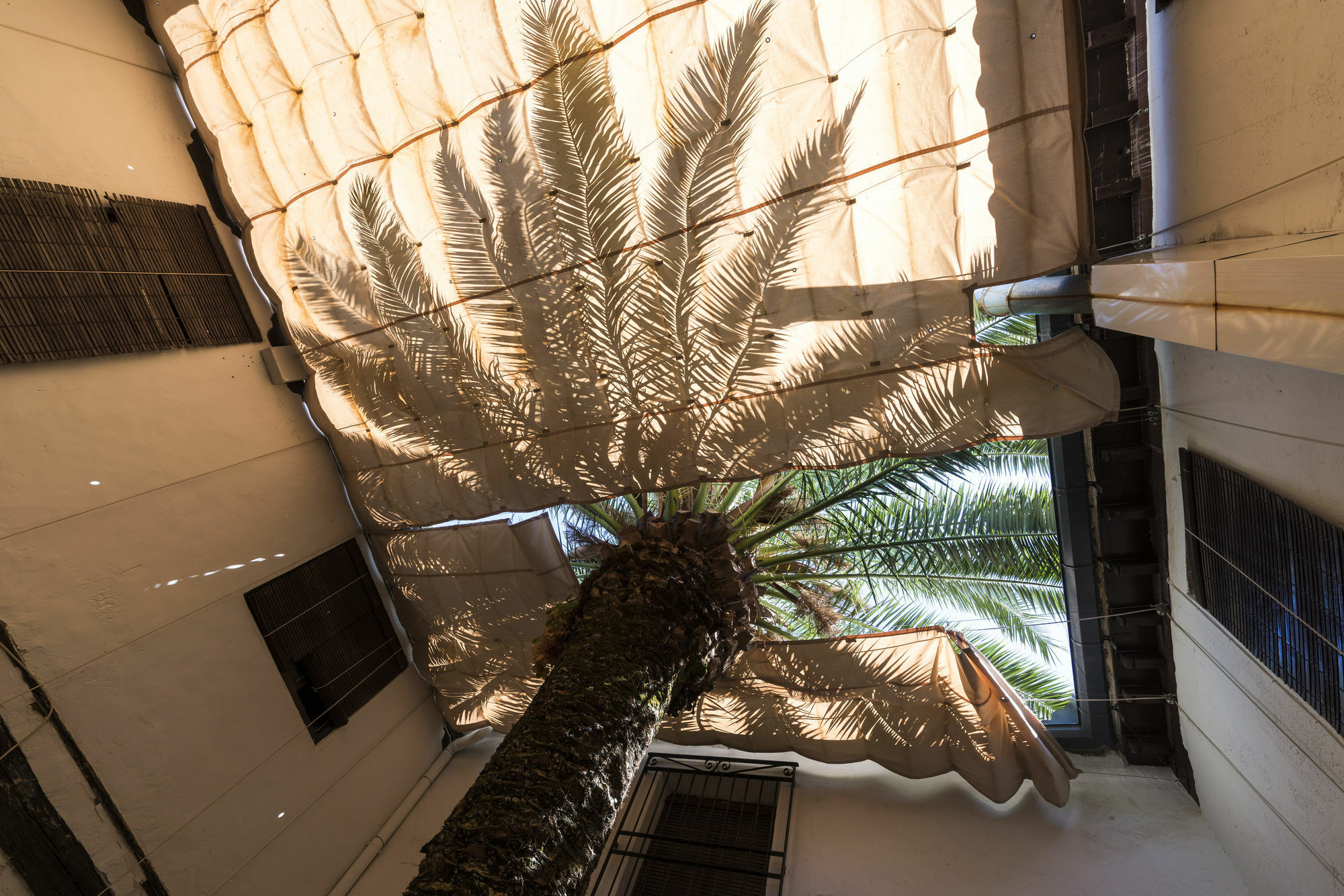 אלמגרו Hotel Rural Tia Pilar מראה חיצוני תמונה